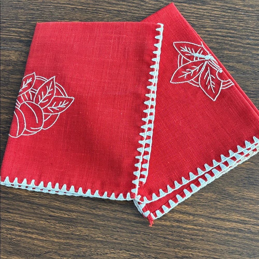 2 embroidered placemats